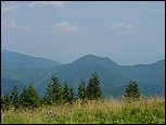dsc07826.jpg