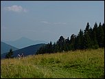 dsc07827.jpg
