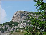 dsc07832.jpg