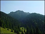 dsc07833.jpg