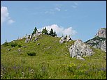 dsc07835.jpg