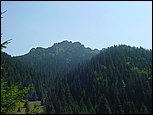 dsc07836.jpg