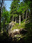 dsc07841.jpg
