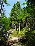 dsc07842.jpg