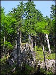 dsc07843.jpg