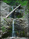 dsc07846.jpg
