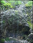 dsc07848.jpg