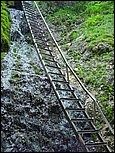 dsc07851.jpg