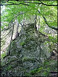 dsc07852.jpg