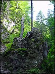 dsc07856.jpg