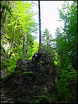 dsc07858.jpg