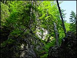 dsc07859.jpg