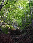 dsc07861.jpg