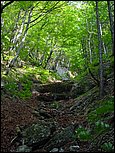 dsc07862.jpg