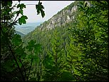 dsc07866.jpg