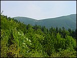 dsc07881.jpg