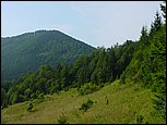 dsc07883.jpg