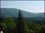 dsc07884.jpg