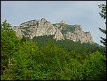 dsc07886.jpg