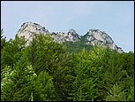 dsc07887.jpg