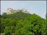 dsc07890.jpg