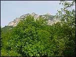 dsc07893.jpg