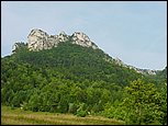 dsc07894.jpg