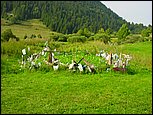 dsc07896.jpg