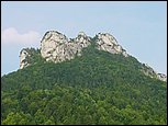 dsc07898.jpg