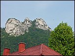 dsc07902.jpg