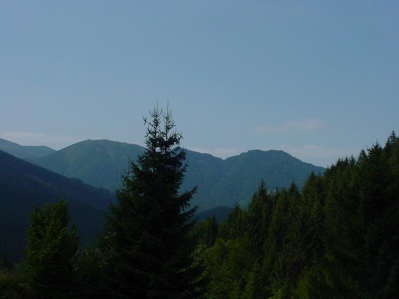 dsc07802.jpg