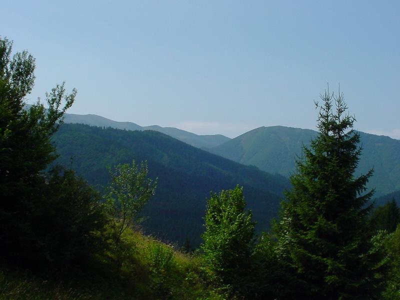 dsc07803.jpg