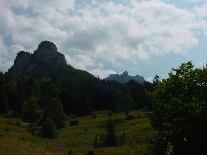dsc07804.jpg