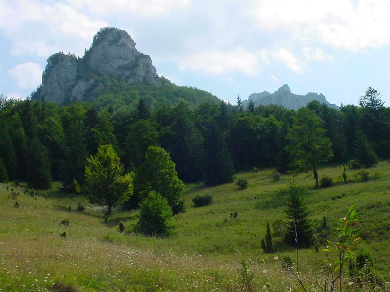 dsc07805.jpg
