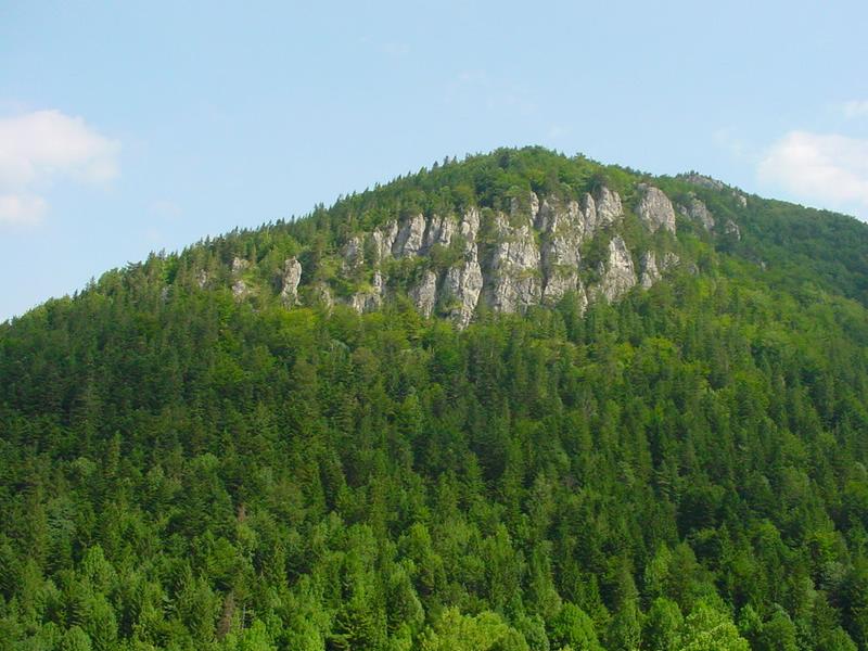 dsc07806.jpg