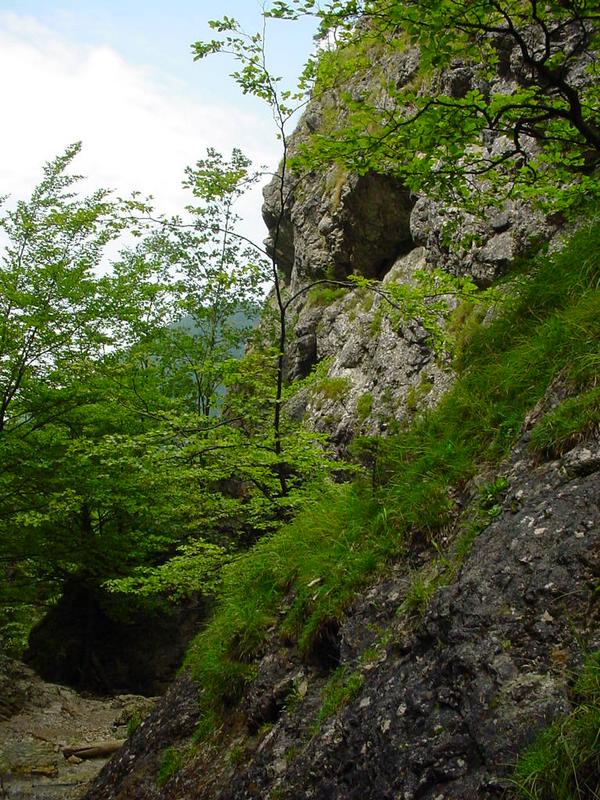 dsc07813.jpg
