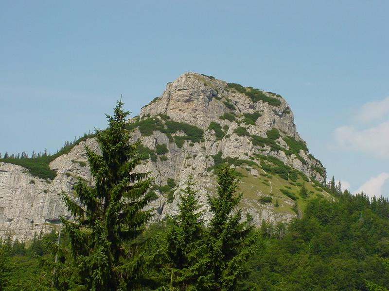 dsc07815.jpg