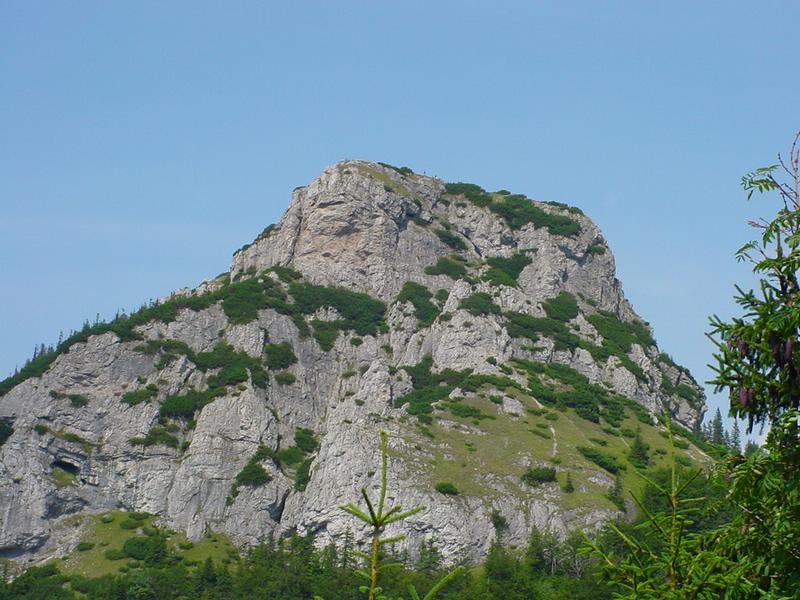 dsc07816.jpg