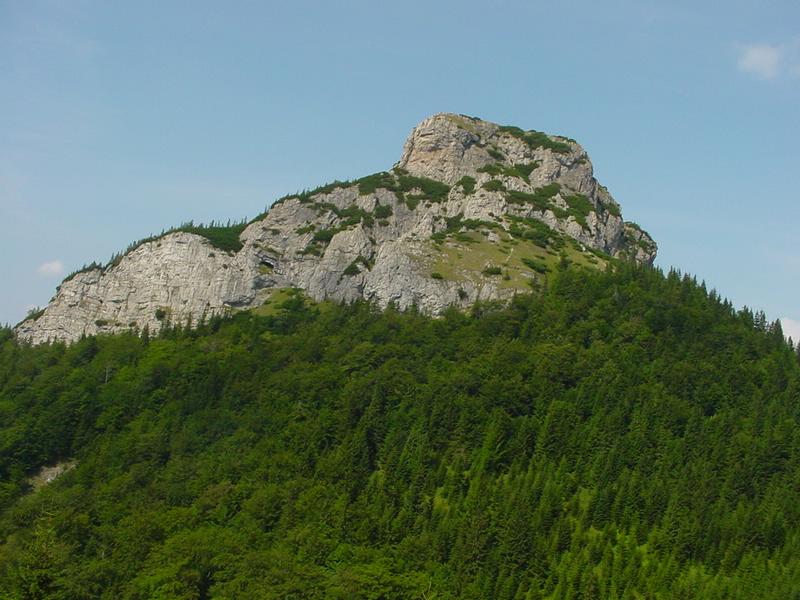 dsc07818.jpg