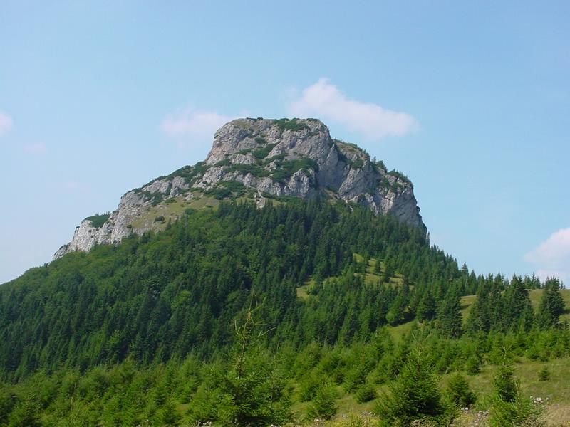 dsc07822.jpg