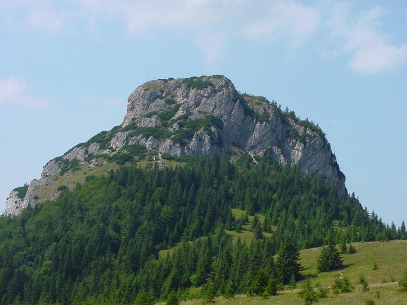 dsc07824.jpg