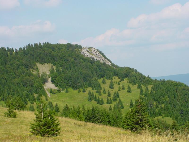 dsc07825.jpg