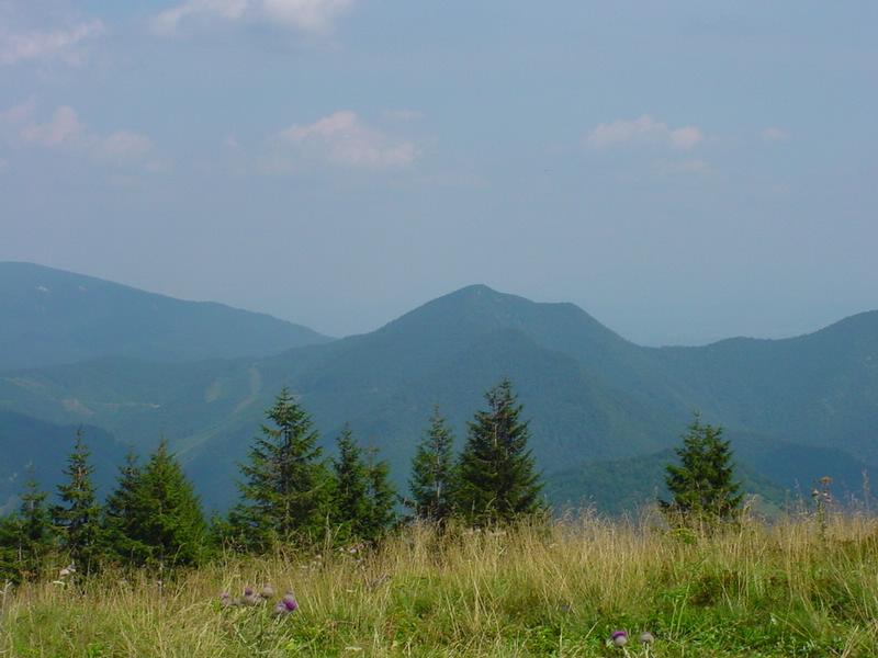 dsc07826.jpg