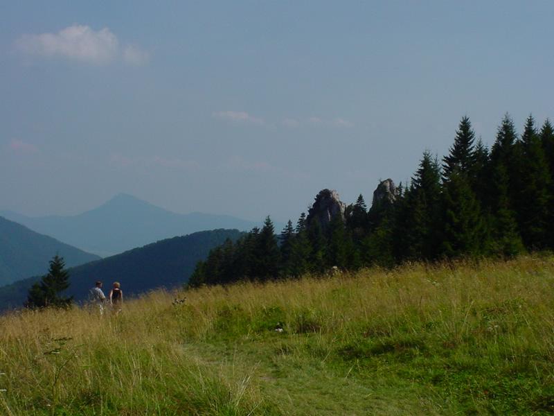 dsc07827.jpg