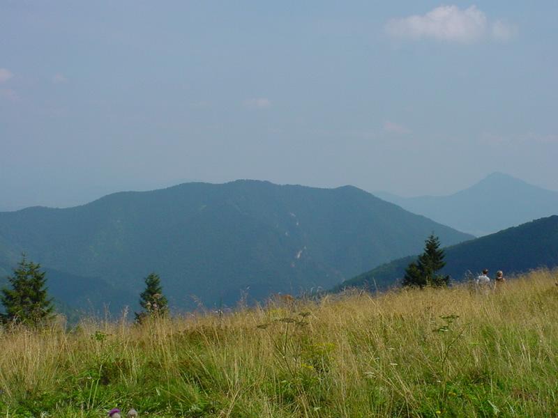 dsc07828.jpg