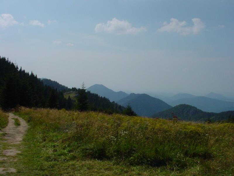 dsc07829.jpg