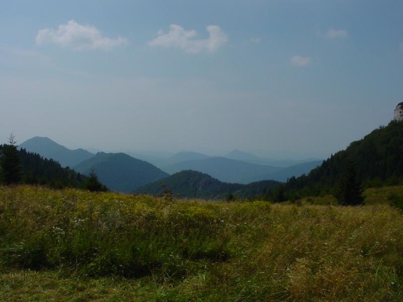 dsc07830.jpg