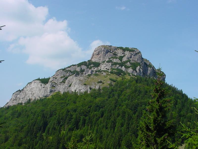 dsc07831.jpg