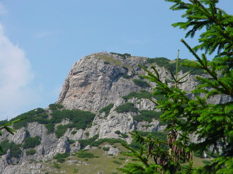 dsc07832.jpg