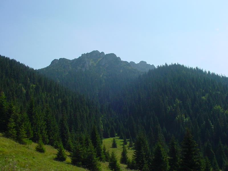dsc07833.jpg